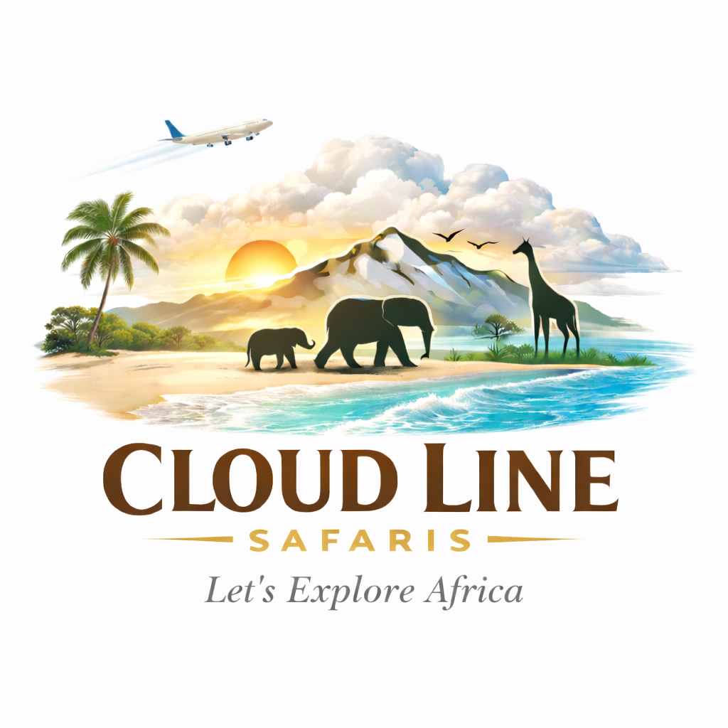 chatgpt image jan 6, 2026, 02 13 30 pm